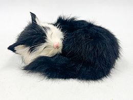 Коте с козинка спящо черно