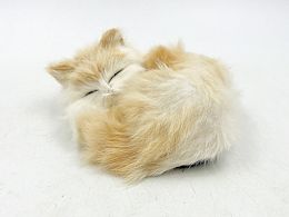 Коте с козинка спящо