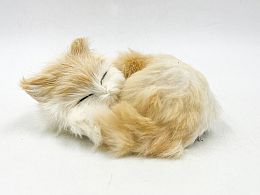 Коте с козинка