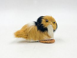 Кученце с козинка